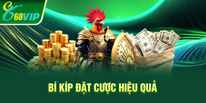 Bí kíp đặt cược hiệu quả