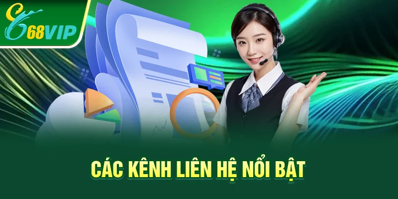 Các kênh liên hệ nổi bật