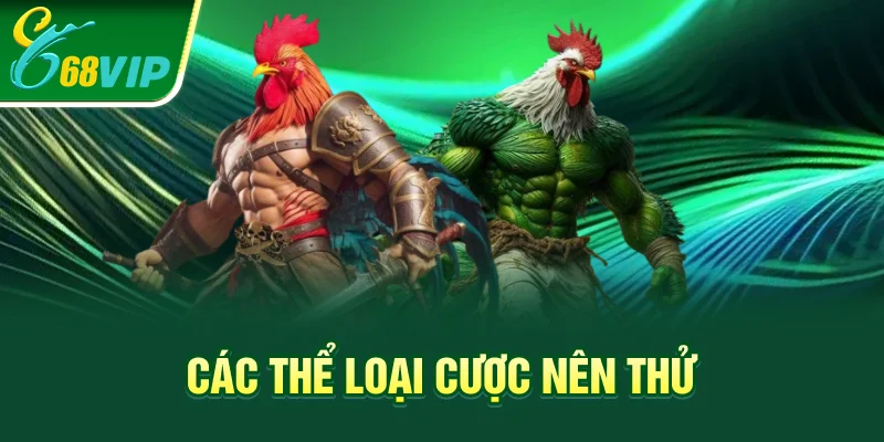 Các thể loại cược nên thử