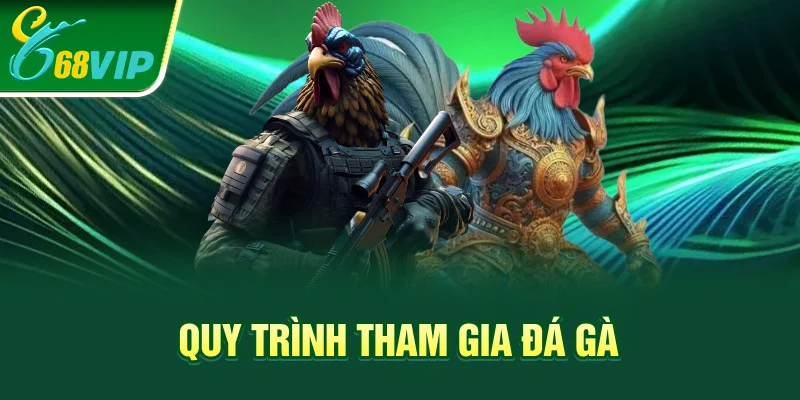 Quy trình tham gia đá gà